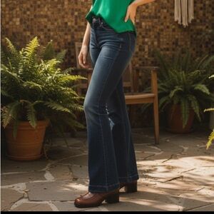 Hudson Jeans Flare Low Rise